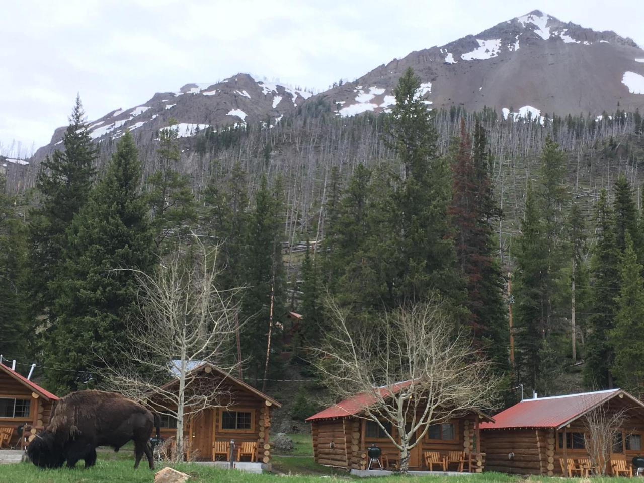Silver Gate Lodging Cooke City Exterior foto